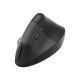 17. Logitech Lift Vertical Business Black Mouse