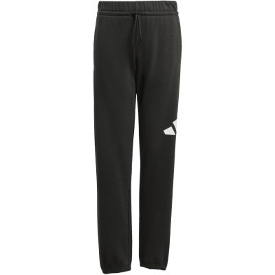 2. adidas Essentials 280 Kids Pants Black JD2090