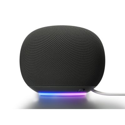 4. Google Home Gray