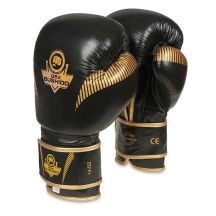 10oz Boxing Gloves - Aureos - Valor Series