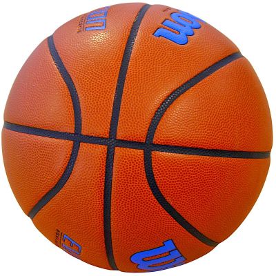 13. WILSON EVOLUTION 295 GAME BASKETBALL SIZE 7