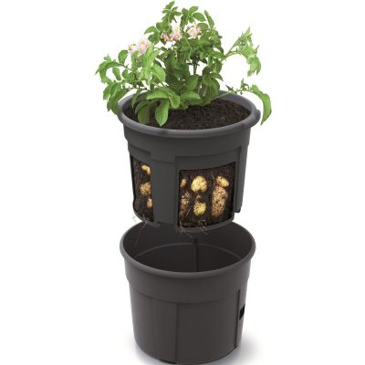 12. POT FOR PLANTING POTATOES, DIA. 39.2 CM