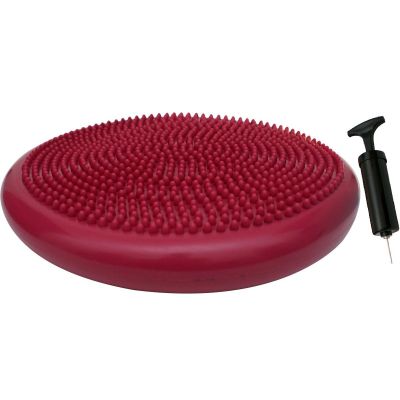 8. SENSORMOTOR DISC PILLOW WITH PUMP 33 CM PINK ENERO FIT