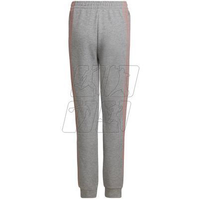 2. Adidas 3-Stripes Tapered Leg Jr HD4362 pants