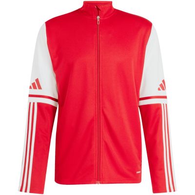 10. Adidas Squadra 25 Training M sweatshirt JD2979