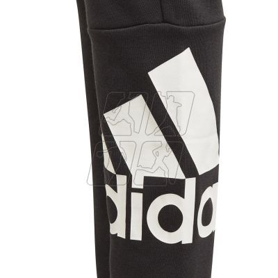 4. Pants adidas BL FT O PT Jr GN4064