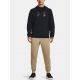 5. Under Armor UA Armor Fleece Big Logo HD sweatshirt M 1379743-001