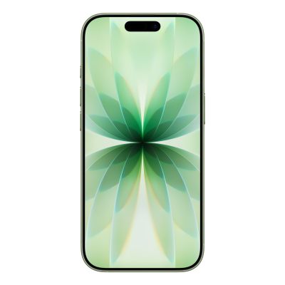 2. Apple iPhone 17 16 cm (6.3") Dual SIM iOS 26 5G USB Type-C 512 GB Sage