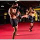 16. MMAsparring gloves L/XL - Phantom Red - Valor Series | DBX Bushido