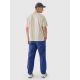 2. Men's casual trousers 4F 4FRAW24TTROM1349-31S