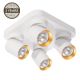 CEILING LIGHT TUNIS 4XGU10 ML9940 W/GOLD