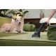 62. Hoover HE120PET 011 7809079 2.5L Vacuum Cleaner Dry 700W Dust Bag