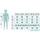 3. Thermoactive underwear Meteor Jr 128-134 cm 47136