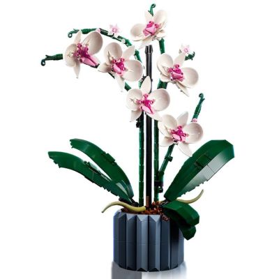 4. LEGO Icons 10311 - Orchid
