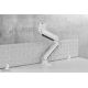 4. Neomounts NM-D775WHITEPLUS Monitor Holder/Stand for 124.5 cm (49") Monitors, Desk White