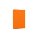 3. AmazingThing Minimal Case for iPad Pro M5 11" - Orange