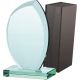 5. Glass trophy with case