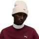 5. Puma Metal Cat Cap Cream 26404 04