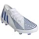 4. Adidas Predator Edge.2 FG M GW2269 football boots