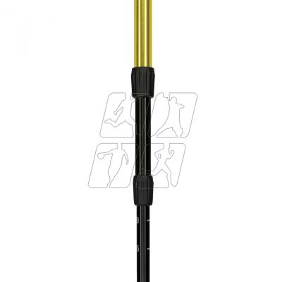 5. Alpinus Latemar NX43604 Nordic walking poles