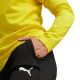 6. Puma Team Goal Slim Training Pants M 659037 03