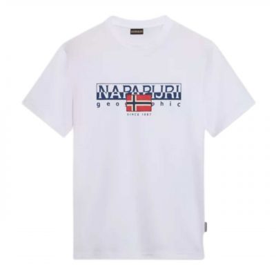 5. Napapijri S-Aylmer Regular T-shirt M NP0A4HTO