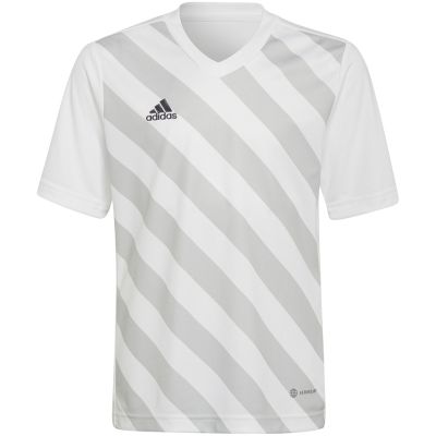 12. adidas Entrada 22 Graphic Jersey Jr HF0120