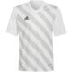 12. adidas Entrada 22 Graphic Jersey Jr HF0120