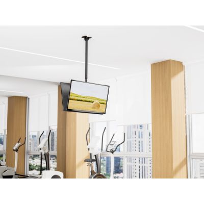 5. Equip 650377 TV Mount 2.18 m (86") Black