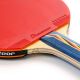 6. Meteor Dust Devil 15020 Table Tennis Racket