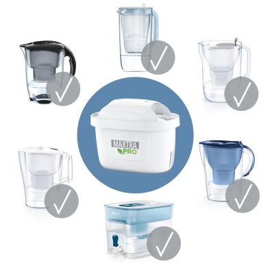2. Brita Maxtra Pro Hard Water Expert Filter 1 pc