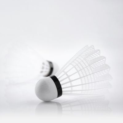 2. Teloon TB017 Badminton Shuttlecocks