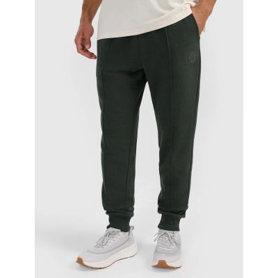 Men's jogger sweatpants 4F 4FRAW25TTROM1671-40M