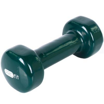 98. PROfit vinyl dumbbell 0.5kg DK 4102