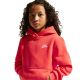 3. Nike Sportswear Club Fleece Kids' Sweatshirt Orange FD3000 842