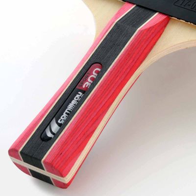 18. Cornilleau Sport 433000 Ping Pong Racket
