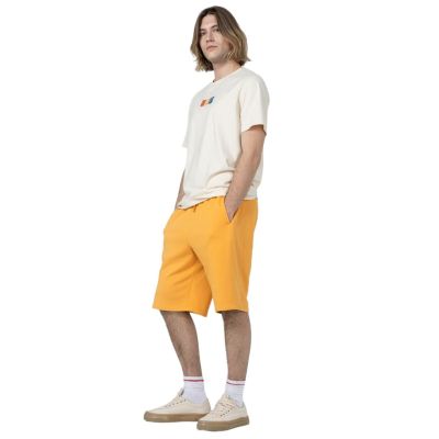 8. Outhorn Shorts M ACOTHSS23TSHOM132 74S