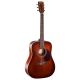 CORT-EARTH 70 BR - Acoustic Guitar