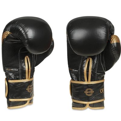 3. 10oz Boxing Gloves - Aureos - Valor Series