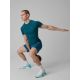 4. Men's seamless slim training shirt 4F 4FRSS26TFTSM2442-30S