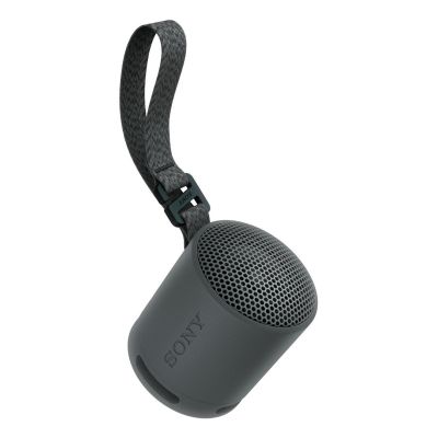 2. Sony SRS-XB100 Portable Mono Speaker Black