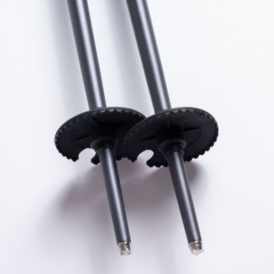 7. ALPINE SKI II poles