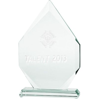 5. 3D engraved glass trophy with case