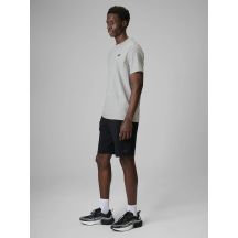 Men's sweatpants 4F 4FRSS26TSHOM0970-20S