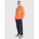 4. Men's sweatshirt with hood, open, 4F 4FRSS25TSWSM2201-70S