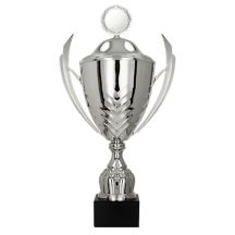 Metal cup with a lid