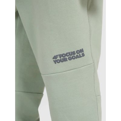 7. Boys' jogger sweatpants 4F 4FJRAW25TTROM1605-44S