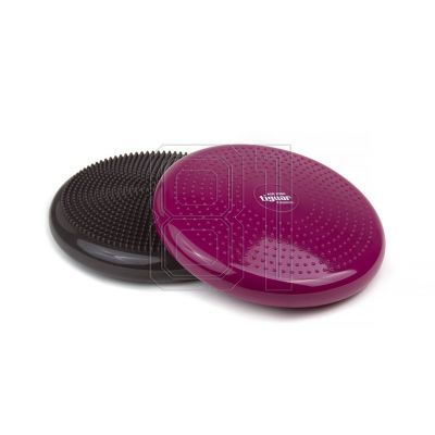 9. Tiguar (air disc) stabilizing disc DR-GT0001