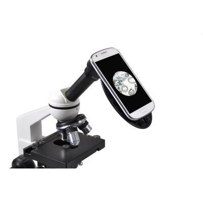2. Microscope magnification from 40x to 400x
