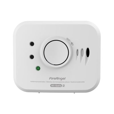 10. Carbon Monoxide Sensor NM-CO-10X-INT